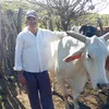 vandoavelar1