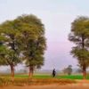 abdullah87866