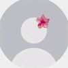 mirna.amgad6