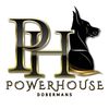 powerhouse_dobermans