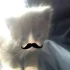 oishi_cute