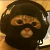 dyhkvkqa6nv5