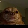 akdmin2
