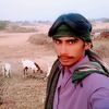 balachhshar3