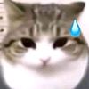 rip_derbala