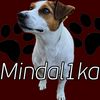 mindal1ka