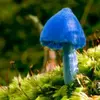 green.moss_blue.mushroom