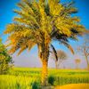 kot__ladha07