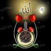 haboyamustafa159
