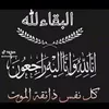 user3381494036156