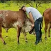 Fernado Jaber