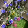 ecofriendlylife0