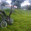 ruiz.suchi