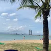 quooclee3