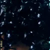xisxisxisxisxisxis