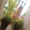 dianatuarez33
