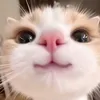 euu_evesouzaa