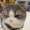 meomeoxjkiu