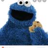 cookiemonster11755