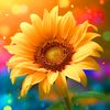 yolgar8423