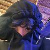 estebanromero_03