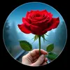 userxxon8e6jf7