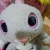bunny123412458