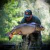 mvs_carplife_gcp