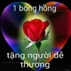thomtrankexuong