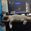 marcelius_05