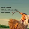 dyu6g8i7fxi0