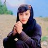 sajiddawar24
