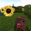 cyprazepam