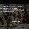 user4124537946116