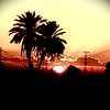 hamdizidan468