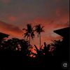 alexis_yael07
