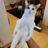 usertpkxcws8sq