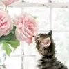 _..callmecat.._