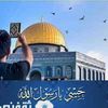 noor.mohamed178