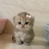 anikaaaa_408