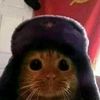 el_gatito_sovietico123