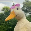 julio_jugo