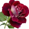 user27661072730026