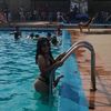 rubio_193