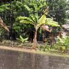kang.udin314