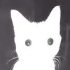 xuy_cocat_itay