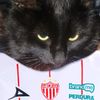 necaxista_