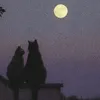 th_dsouz