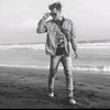fan_fan2602