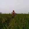 nurainunn_20